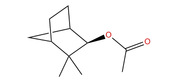 exo-Isocamphanyl acetate